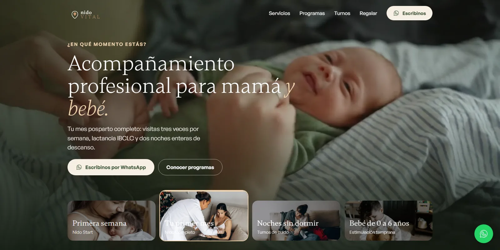 Página de inicio del sitio de NIDO VITAL